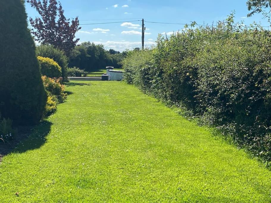Adorable Cabin In The Countryside Laois Extérieur photo